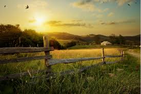 National library of medicine 8600 rockville pike bethesda, md 20894. Practicing Rural Medicine 11 Tips For Country Doctors