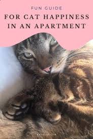 It isn't rocket science to jailbreak a firestick, it's actually a cakewalk. Nicole Cucciniello Nicolecucc Profile Pinterest
