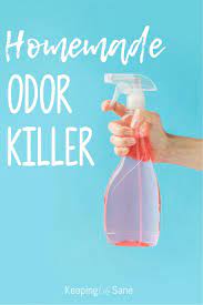 112m consumers helped this year. How To Make Homemade Odor Eliminator Spray Keeping Life Sane