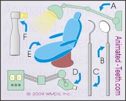 We've got 11 questions—how many will you get right? Dental Quizzes Online Student Activities Classroom Lessons All Ages