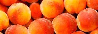Pour the liquid mixture over the peaches, dividing between the two jars. Peaches Fruits From Chile