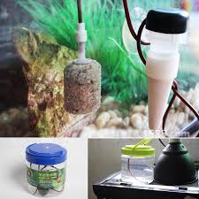 Click To Buy Pet Reptile Tortoise Lizard Terrarium Box Humidifier Without Electricity Moisturizing 1300m Lizard Terrarium Terrarium For Sale Reptiles Pet