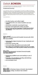 Professional Cv Examples New Zealand Breaking News