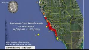 Rumble — florida fish and wildlife officials put out this map, which shows red tide is present in high levels in collier, lee, charlotte, sarasota and manatee counties. High Levels Of Red Tide Reported In Sarasota County Wtsp Com
