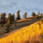 Obituary: Evelyn Clarke