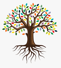 Use these angle tree clipart transparent background. Collection Of Tree Transparent Family Tree Clipart Hd Png Download Transparent Png Image Pngitem