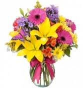 Check spelling or type a new query. Cdn Atwilltech Com Flowerdatabase H Hello Yello