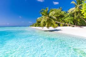 Being an archipelago composed of thousands of islands, it is not surprising to note that the philippines boast of majestic coastlines that would surely make the philippines among the worthy contingent for the beach capital of the world. Top Five Beaches In The Philippines Black Tomato