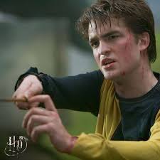 The color of your pillow is why Cedric Diggory gave you his Triwizard badge  🛏️