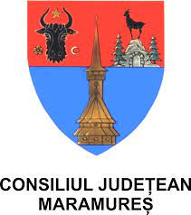 Prefectul, subprefectul și președintele consiliului județean maramureș au intrat în autoizolare. Cj Maramures Special Olympics Romania