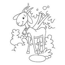 Lots of goat colouring pages for the kids to print and colour. Top 25 Free Printable Goat Coloring Pages Online Goat Coloring Pages Coloring Pages Farm Coloring Pages