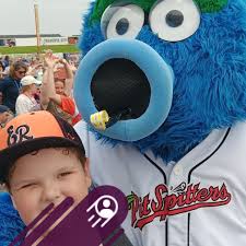 Beekeeping classes or local mentors?