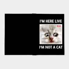 It will be published if it complies with the content rules and our moderators approve it. I M Here Live I M Not A Cat Funny Cat Lawyer Meme Im Here Live Im Not A Cat Notebook Teepublic