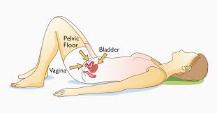 What Are Kegel Exercises? - Labiaplasty NYC