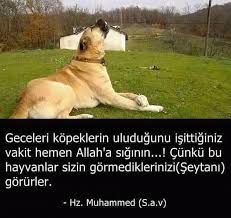 Ibretlik Hikayeler Www Corek Otu Yagi Com Corek Otu Yagi Com Cool Words Allah Islam Disneyland Pictures