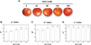 Ana gabriela esmeralda diaz molina, född 7 juni 1977 i västerås, är en svensk artist, låtskrivare, kompositör och musikproducent. Salinity Impairs Photosynthetic Capacity And Enhances Carotenoid Related Gene Expression And Biosynthesis In Tomato Solanum Lycopersicum L Cv Micro Tom Peerj