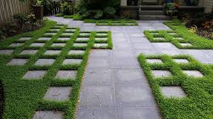 Check spelling or type a new query. Pt 799 Microclover Pro Time Lawn Seed