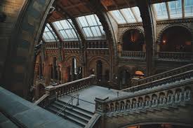 tags stair, stairs, stairways, steps, stairs photos, stair designs, pictures of stairs, awesome stairs/tags. 5374262 6016x4016 Architecture Arch Glass Uk Interior Steps Stairs Traditional Design Staircase London Sightseeing National History Museum Window Building Museum Free Pictures Railing Mocah Hd Wallpapers
