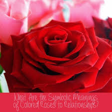 Maybe you would like to learn more about one of these? What Do Flower Colors Mean In Relationships Pairedlife