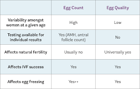 amh hormone test amh test causes of high or low amh what