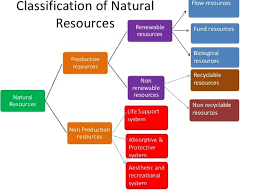 Draw A Chart Showing The Classification Of Resources