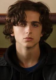 Fan Casting Timothée Chalamet as John Donovan in The Devil's Prayer
