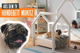 Individuelle Mobel Selber Bauen Obi Selbstbaumobel Wie Suss Schade Dass Ich So Unbegabt Bin Mit Hundebett Selber Bauen Hundehutte Selber Bauen Hundehaus Diy