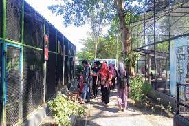 Selain itu, harga tiket masuk umbul sidokmukti murah lho!. Umbul Square Jadi Destinasi Liburan Sekolah