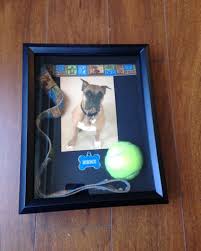 Pin By Linda Hammerschmid On Funeral Sentiments Plans Dog Remembrance Dog Shadow Box Shadow Box