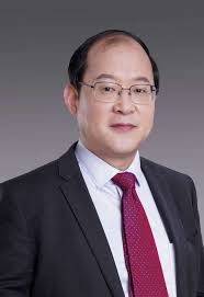 Comparative Analysis and Optimization of Novel Pulse Injection Sensorless  Drive Methods for Fault-Tolerant DC Vernier Reluctance