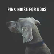 Pink Noise for Dogs by Pet Therapy on Apple Music