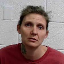 Records: Couple accused of beating adult roommate, forcing him to stay in  covered dog cage