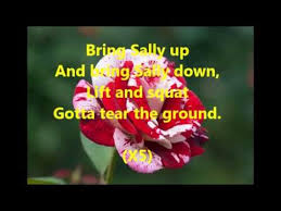 Squat Down When They Say Bring Sally Down And Pulse Until They Say Bring Sally Up Do This Throughout The Entire Son Flower Lyrics Moby Flower Love Flowers