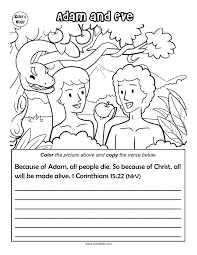 Free Color And Copy Bible Worksheet Adam And Eve Free Bible Printables Bible Activities For Kids Bible Class Activities