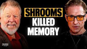 The Stoned Ape Theory: Did Psychedelics Change Human Language?