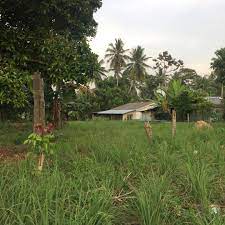 Kepada owner tanah ,wakil owner,broker ,wakil pembeli dan pembeli.semoga dipermudahkan urusan semuanya. Tanah Kampung Daching Lenggeng Negeri Sembilan Bersebelahan Beranang Selangor Property For Sale On Carousell