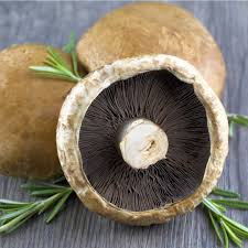 Ve bir zehirli mantar 4 kişiyi zehirlemek için yeterli. En Populer Mantar Cesitleri Ve Faydalari Tarifini Sevdim