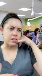 Understanding Physical Checkups at the Vet