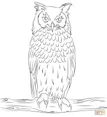 Wonderful Image Of Owls Coloring Pages Davemelillo Com In 2020 Bird Coloring Pages Owl Images Coloring Pictures
