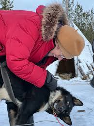 Jeanne Gravette Hayhurst