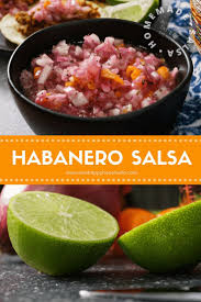 Pickled Red Onion Habanero Salsa Habanero Salsa Habanero Recipes Onion Recipes