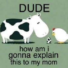Pin On Fun With Milk And Dairy