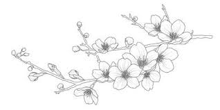 Black And White Cherry Blossom Vine Tattoo Pin On Watercolor