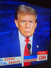 The courageous immigrants arriving in America are remarkable individuals,  deserving respect and compassion. In contrast Trump said they are criminals  and terrible. They eat dogs, cats and other pets. Sad!