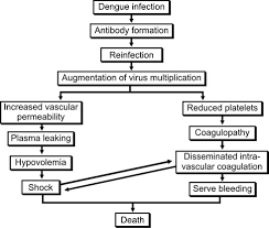 Pathophysiology and pathogenesis of dengue hemorrhagic fever. Jaypeedigital Ebook Reader