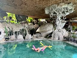 Image result for BALI Score