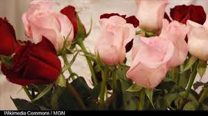 Richard Wade Rennells 65 Of Unionville Mo Playle And Collins Family Funeral Home Ktvo