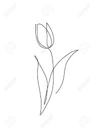 Tulip Flower Line Art Minimalist Contour Drawing One Line Artwork Contour Drawing Line Art Drawings Line Artwork