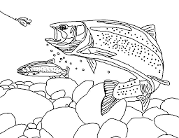 / getty images rainbow chard kicks swiss chard up a level in both looks and flavor. Coloring Page World Rainbow Trout Landscape Fish Coloring Page Animal Coloring Pages Watercolor Fish