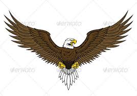 Bird With Wings Spread Drawing Easy Bald Eagle Eagle Drawing Bald Eagle Tattoos Hand Art Drawing